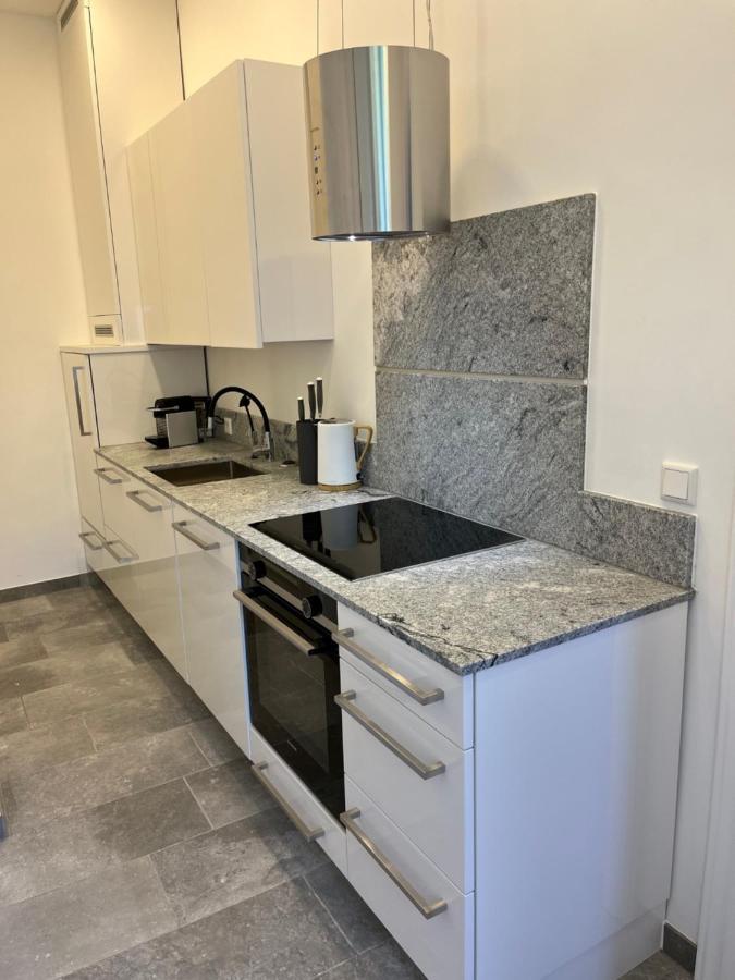 Apartment City Vienna Viena